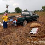 โครงการปลูกผักสวนครัว ปีงบประมาณ 2564
